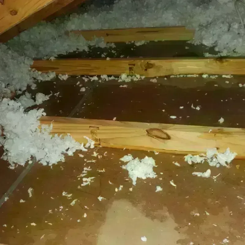 Attic Water Damage in Sulphur, OK