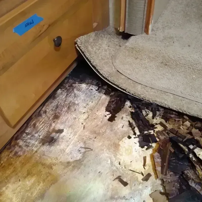 Wood Floor Water Damage in Sulphur, OK